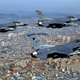 Illustration for article titled 75 Amazing Images Of U.S. Air Power In South Korea